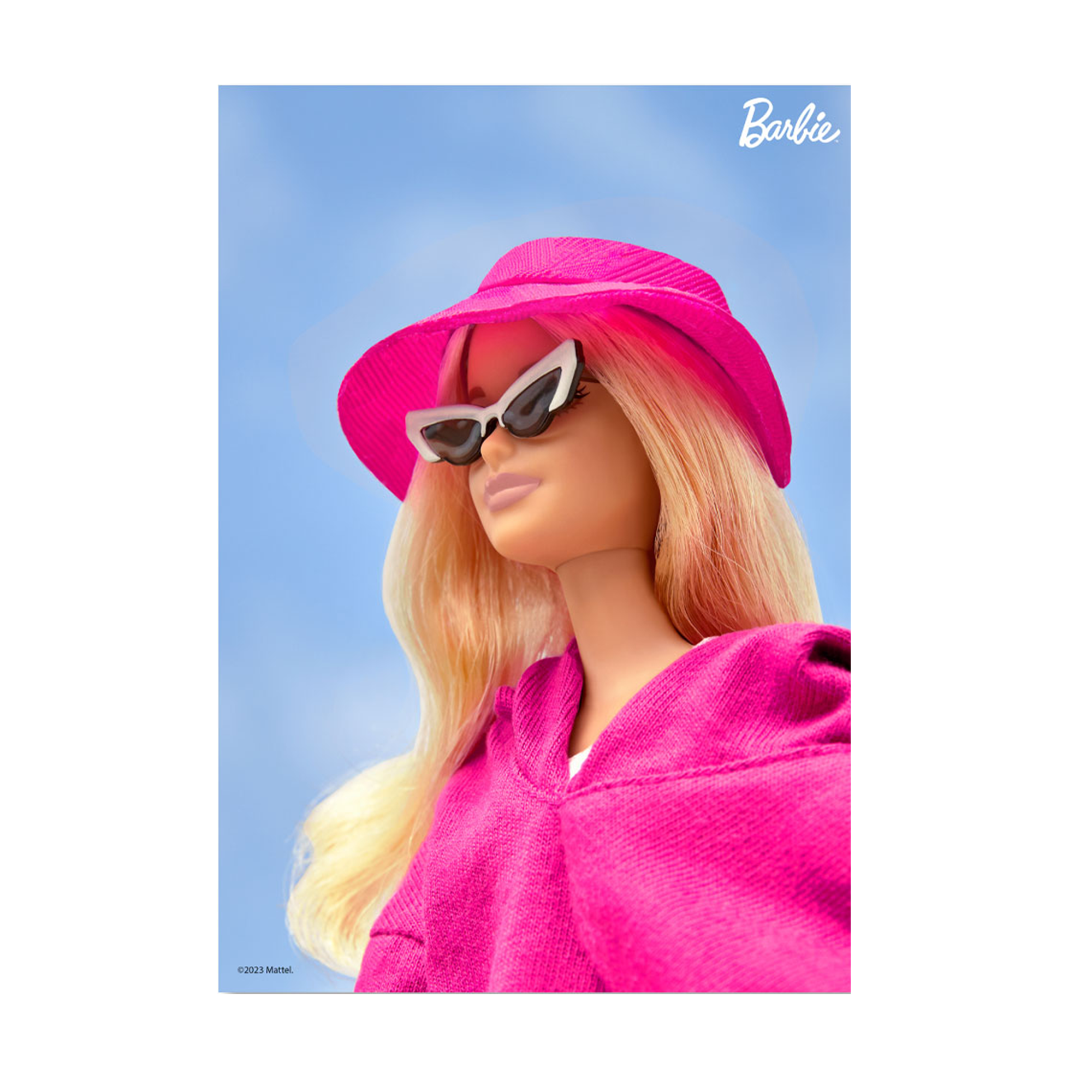 Barbie top with hat