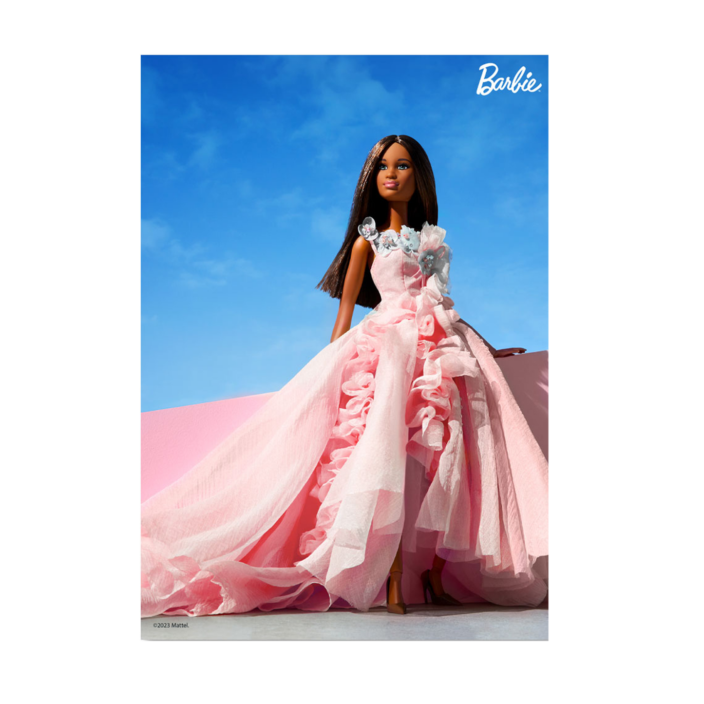 Barbie Pink Gown A3 Photography Wall Art