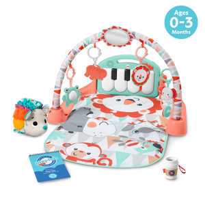 Fisher-Price Let's Snuggle & Play Set