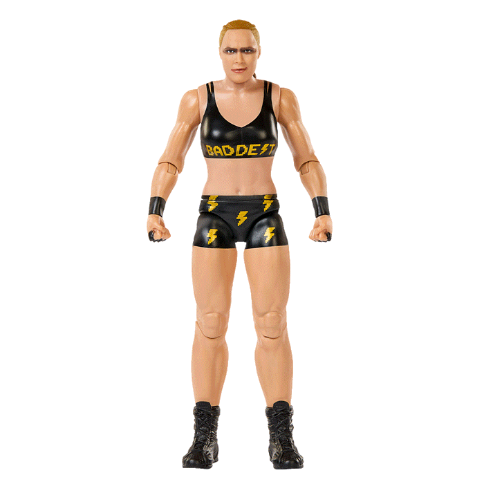 WWE Basic Action Figure - Assorted*