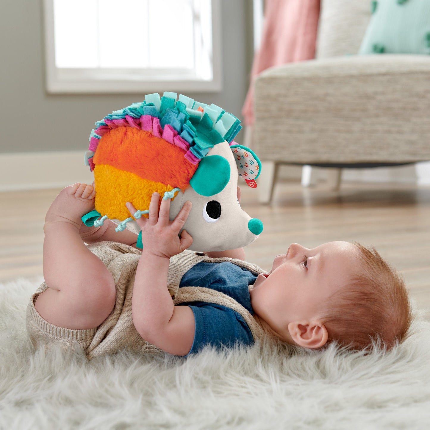 Fisher-Price Cuddle n' Snuggle Hedgehog